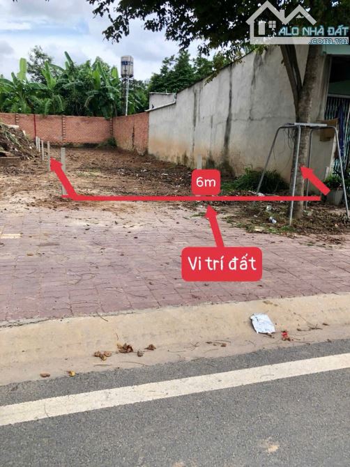 Bán Đất Mặt tiền Lê Chí Dân, Tân An, Thủ Dầu Một, Bình Dương - 2