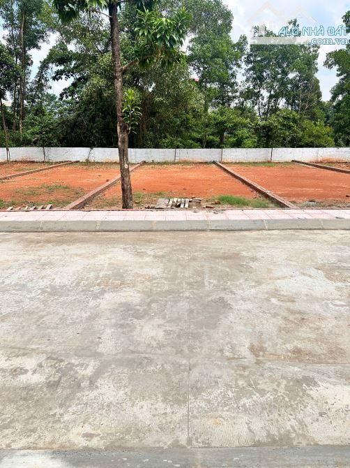 102m² full thổ cư – Mặt tiền 6m, đối diện chợ & trường học, cách Ngã tư Lục Quân chỉ 200m - 2