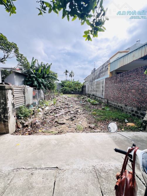 Bán 120m đất Thuỷ Đường - Thuỷ Nguyên✅sát trục 36m Trần Hưng Đạo cực đẹp - 2
