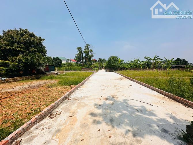 1x triệu/m² đã có 81m² đất ngõ thông Xuân Đồng. - 2