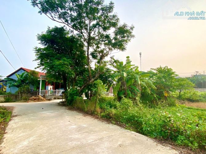 🌈LÔ ĐẸP NGAY CỔNG TRIỀU SƠN TÂY, 3 MẶT TIỀN THOÁNG ĐẸP GIÁ 8,9Triệu/m2 - 2