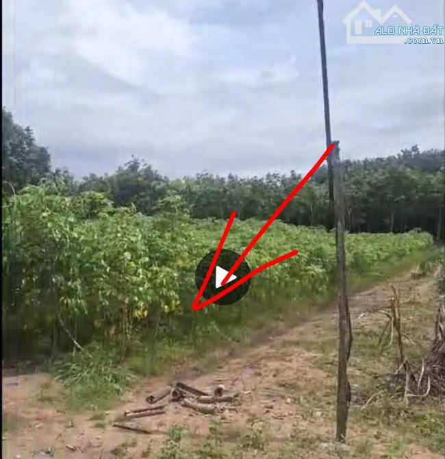 Bán đất ở Hòa Lợi, Bến Cát giá siêu rẻ chỉ 950 triệu cho 327m2 - 2