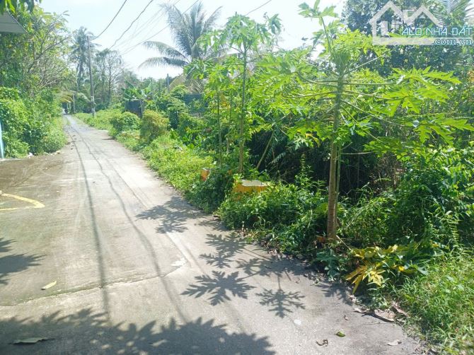 🏡 BÁN ĐẤT GIÁ RẺ – BÙI CÔNG TRỪNG, HÓC MÔN – 1900M² NGANG 23M – CHỈ 18 TỶ - 2