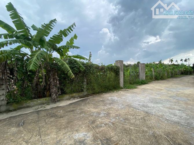 Bán đất thổ cư Hồ Văn Mên, An Thạnh, Thuận An: 54 x 44,5m= 2.547m2, giá 16,2 tỷ. - 2
