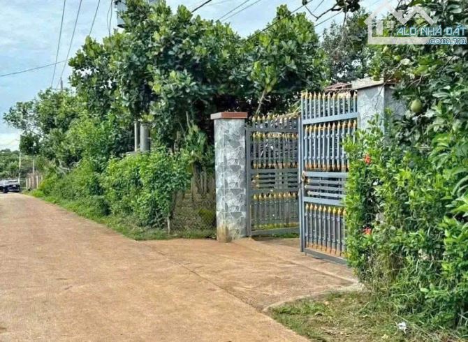Bán đất thổ vườn có nhà cấp 4 rộng 2600m2 giá rẻ 630 triệu ngay ubnd tân hiệp, Bình Dương - 2
