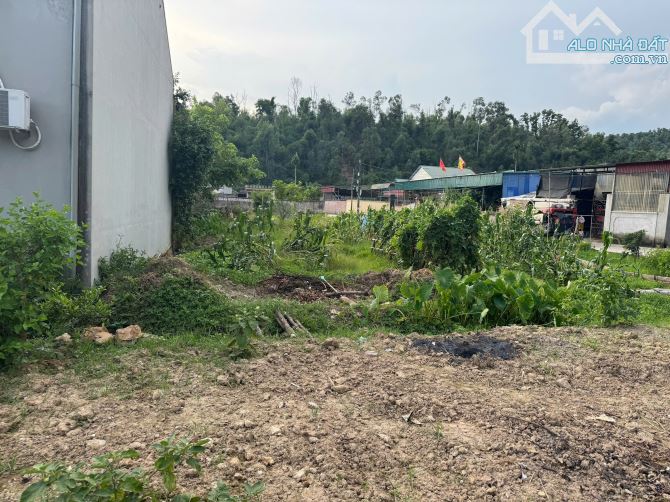 Đất Hiệp Hòa-Kinh Môn (P.Nhị Chiểu) Gần 200mv Mặt tiền Hơn 8m,Đường 2 ôtô, 2 Mặt đường.Ib - 2