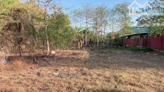 Củ Chi: Bán Gấp 2785m² Đất Thổ Cư Mặt Tiền Tỉnh  Lộ 15, Tân Thạnh Đông Giá 45 Tỷ SHR - 2