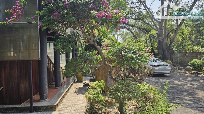 Bán nhà vườn Nguyễn Thị Chiên, Tân An Hội, Củ Chi: 13.381m2, giá 30 tỷ. - 2