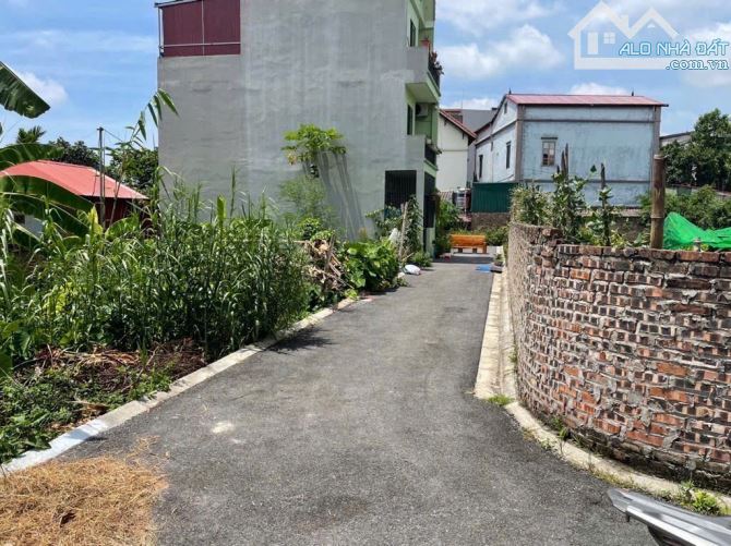 Bán 41m2 đất Đa Tốn ô tô vào đất - 2