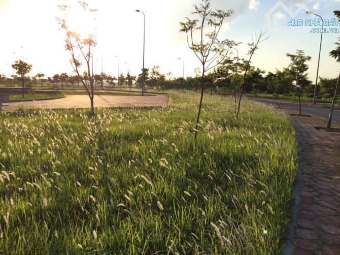 Tuyệt phẩm Công viên Tàm Xá, Đông Anh 83m2, 2 Mặt tiền, Đường 4 ôtô tránh, Giá đầu tư! - 2