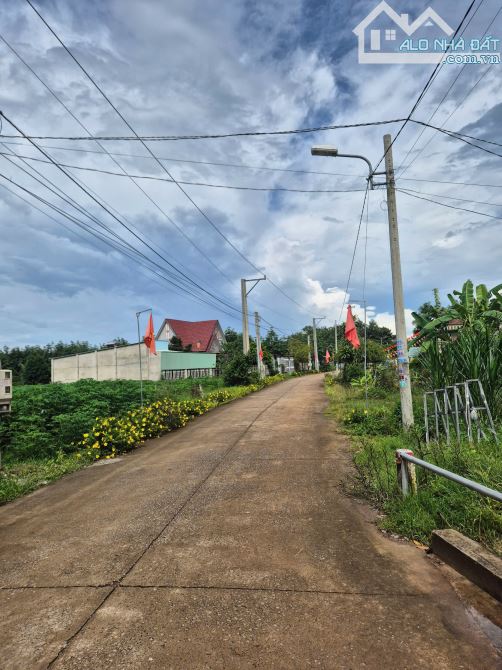Đất TP. HCM ngay trường tiểu học An Linh - 342m2(100m2 TC) - 480tr bao sổ - có hỗ trợ vay - 2