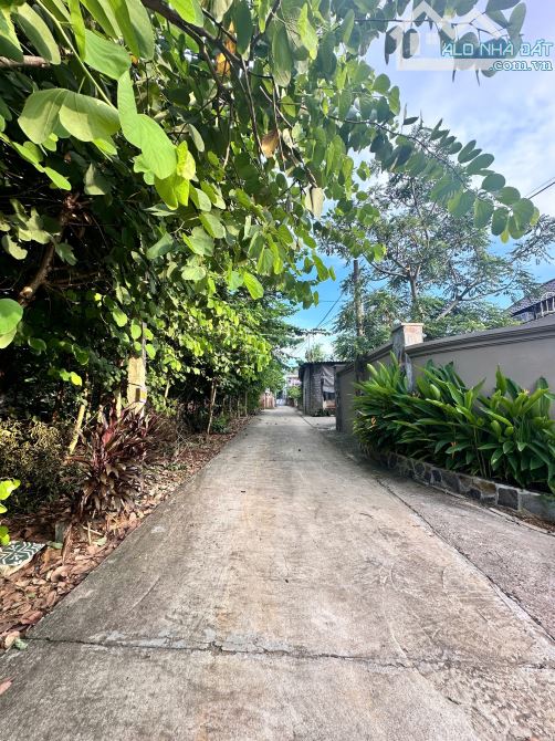 Siêu rẻ_Tản Lĩnh Ba Vì 326M_2 mặt đường, dân cư đông đúc giá đầu tư_2,x tỷ - 2