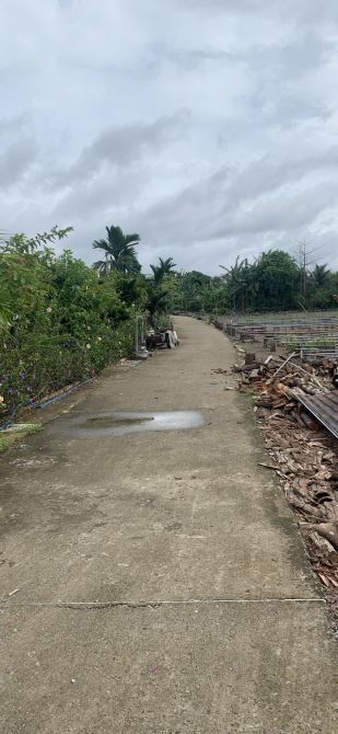 CẦN BÁN LÔ ĐẤT RẺ ĐEP CÁCH PHỐ ĐI BỘ BÃI BIỂN HỒ TRÀM CHỈ 2km - 2