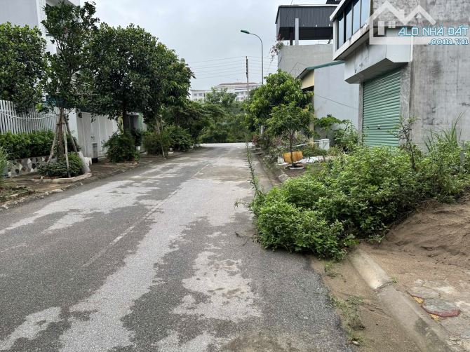 BÁN ĐẤT BIỆT THỰ LIỀN KỀ DIỆN TÍCH 136 M2 – KHU ĐÔ THỊ 31HA, GIA LÂM, GIÁ 18.4 TỶ - 2