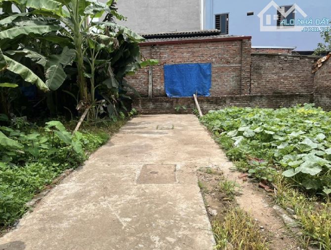 Đất Đẹp Mê Linh 75m² – Xát VĐ4, Cầu Hồng Hà – 10p Vào Nội Thành – Giá ĐẦU TƯ🔥 - 2