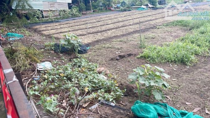 Bán gấp đất 5.500m² view sông Trường Thạnh Thủ Đức, giá chỉ 17 tỷ - 2