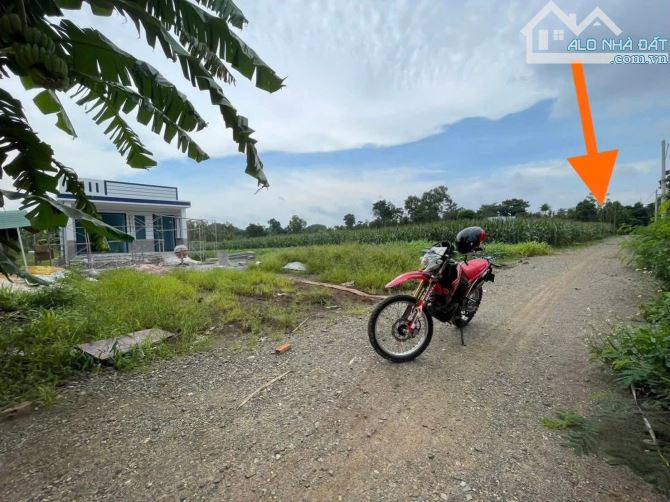 BÁN ĐẤT BÌNH GIẢ CHÂU ĐỨC, VUNG TÀU, TP. HCM, DT 1000M2 GIÁ 590TR - 2