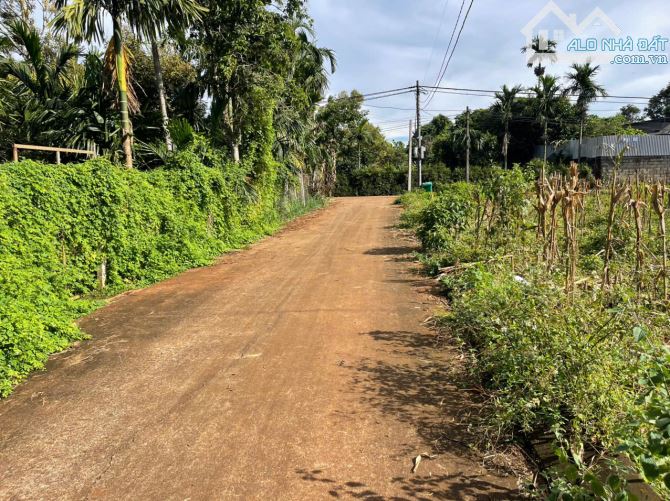 💥Lô TC  6,36*30m nở hậu 8m,.hẻm đường KA12,Đối Diện Phường Tân An ,nhiều lô khác - 2