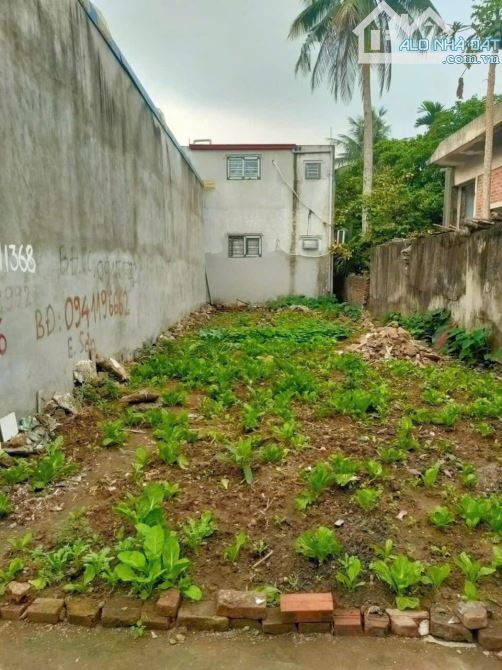🏡 BÁN LÔ ĐẤT Ô TÔ ĐỖ CỬA – CÁCH HẠ, NAM SƠN, AN DƯƠNG - 2