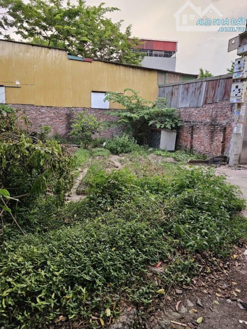 Trụ Sở Chính Kim Thiều Phù Khê ,Đất lô góc  đẹp , ô tô đỗ  Hơn10tr/1m  300m2  cấn bá,n gấp - 2