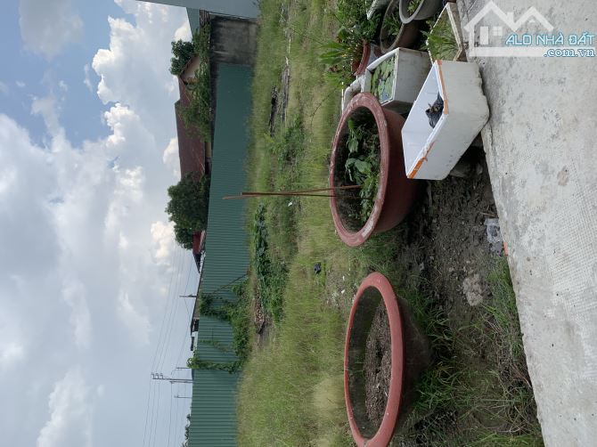 Bán đất VƯỜN LÀI, An Phú Đông Q12, hẻm XE HƠI 6m _ 4x18m GIÁ chỉ 4ty100 - 3