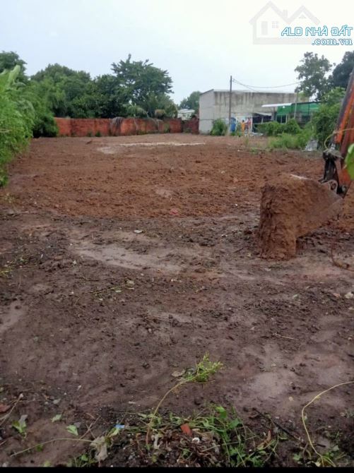 Bán đất đường oto cách Nguyễn Thị Nê 100m 24x54 tổng 1275m2 có 240m2 thổ cư dân cư đôngđuc - 3