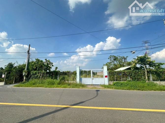 ĐẤT SỔ HỒNG RIÊNG - THỔ CƯ PHƯỜNG TÂN TRIỀU CHỈ 400 TRIỆU SANG TÊN - 3