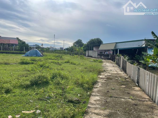 Bán 300m2 đất Hẻm Tô Hiệu, Bình Tân, LaGi giá rẻ bèo chỉ 1 tỷ Gần chợ - 3