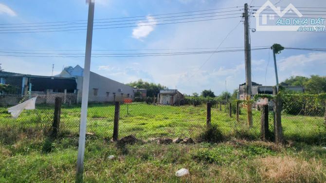 Bán 2242m2 đất thổ cư Đường Số 1, Tân Bình, LaGi giá đầu tư 1.65tr/m2 gần Biển - 3