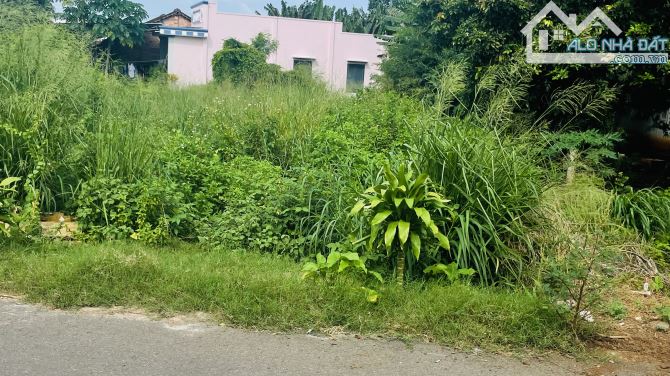 🔥🔥Bán lô đất đường Phan Đăng Lưu - Trung Tâm TT ĐẤT ĐỎ. BRVT - Đối diện quán Dê Tuyết - 3