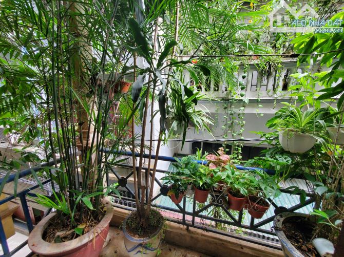 Bán gấp nhà phố Lò Đúc 42m2, căn góc, MT 4.8m, sổ cực đẹp, kinh doanh đỉnh 19.6 tỷ - 3