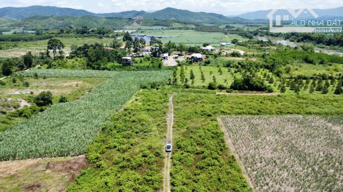 Hạ giá cần bá.n lô Sông Cầu- Khánh Vĩnh- Nha Trang - 2