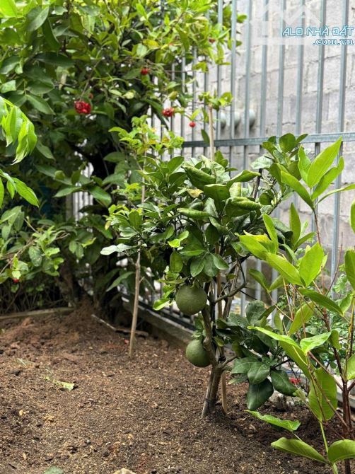 Bán Biệt thự gỗ tâm huyết Siêu sang Diên Khánh, Khánh Hòa. 6,95 Tỷ - 3