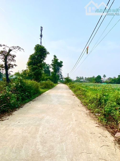 🌈LÔ ĐẸP NGAY CỔNG TRIỀU SƠN TÂY, 3 MẶT TIỀN THOÁNG ĐẸP GIÁ 8,9Triệu/m2 - 3