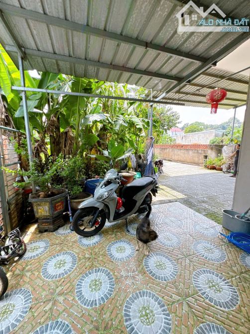 Sc052 Bán nhà mặt tiền bờ kè Nguyễn Ái Quốc Gần CA PCCC BiG - Giá chỉ 695 triệu đồng - 3