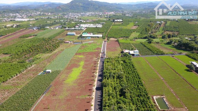 Đất nghỉ dưỡng làng Thanh Bình 810Tr/ nền sổ hồng view săn mây Cách Liên Khương chỉ 10km - 3