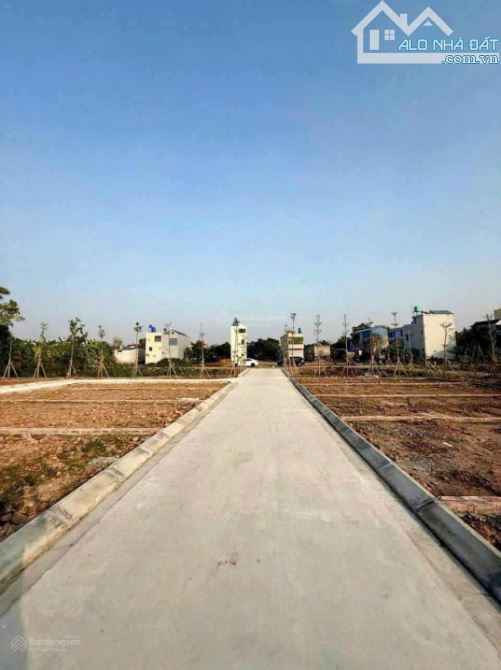 Chính chủ bán đất tại Thạch Thành Thanh Hoá - 3