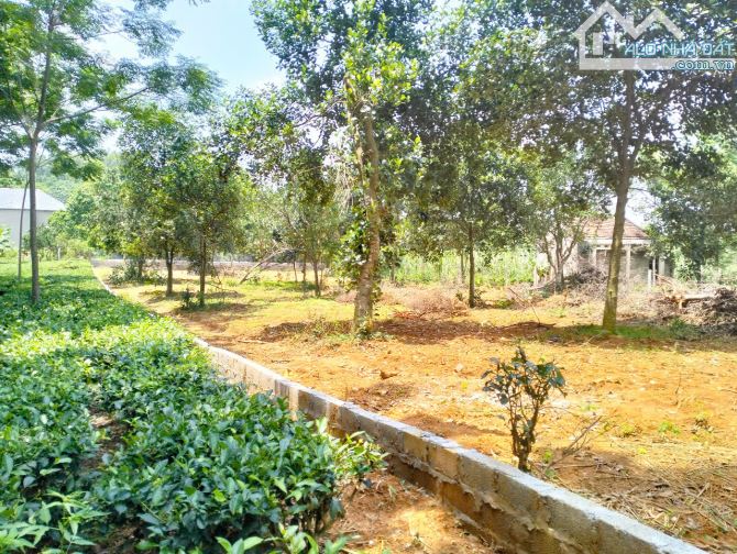 4,3 tỷ sở hữu 1440m2 có 200m đất ở, đường 2 ô tô tránh, đất Ba Trại gần tỉnh lộ - 3