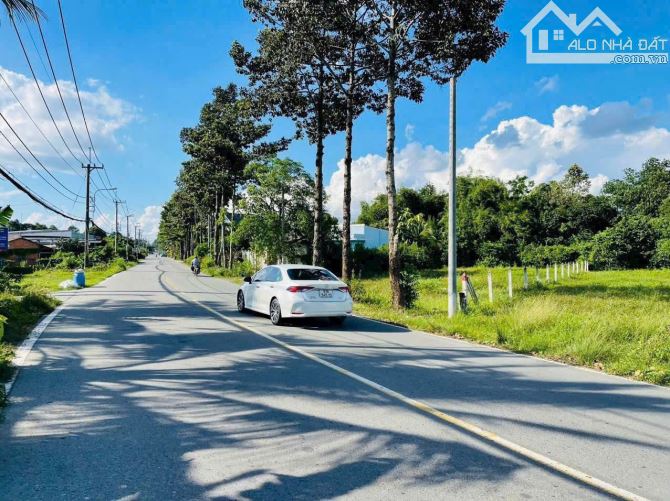 CHỦ CẦN TIỀN BÁN GẤP LÔ ĐẤT ĐẸP - TÂN THÔNG HỘI CỦ CHI - 3