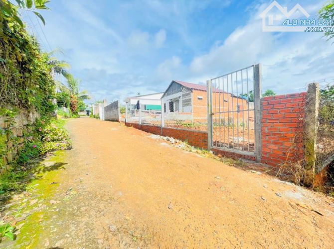 ĐẤT HẺM 19B - HOÀ THUẬN ĐẠT LÝ CŨ 9.9x53m, 2Tỷ650 - 3