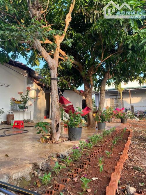ĐẤT THỔ CƯ 20x25m GÓC 2 MẶT ĐƯỜNG KHÁNH XUÂN - BMT -2Tỷ400 - 3