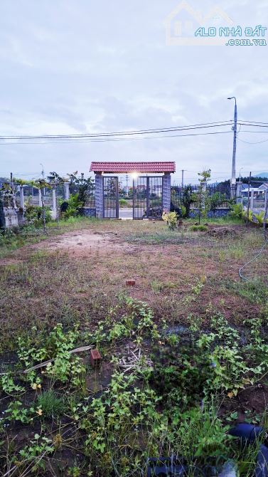 Bán lô đất Biệt thự 300m2 (12x25)m, đã xây tường rào cổng ngõ siêu đẹp, Nghĩa Kỳ, Tư Nghĩa - 7