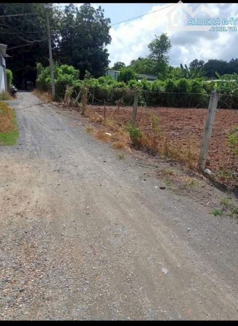Bán đất đường oto cách Nguyễn Thị Nê 100m 24x54 tổng 1275m2 có 240m2 thổ cư dân cư đôngđuc - 4