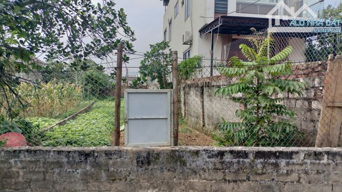119M Đông Sơn xã Phú Nghĩa mới, đường ô tô thông - 4