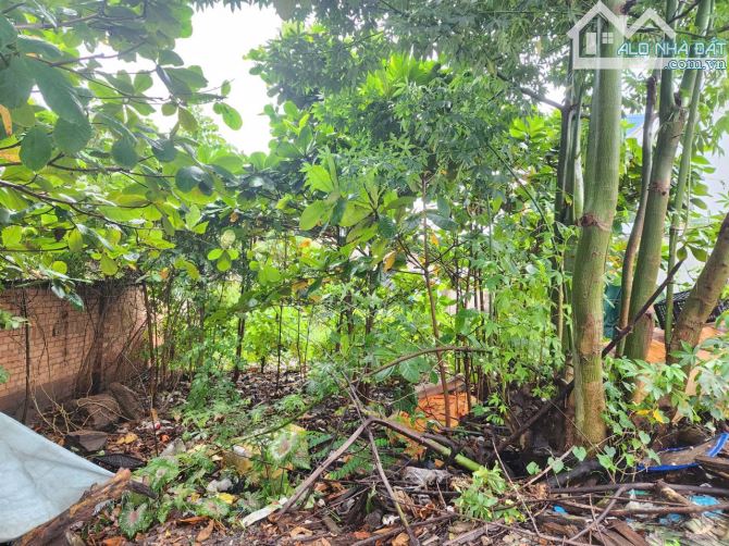 Bán đất mặt tiền Bắc Sơn Trảng Bom, 210m2 nở hậu, giá chỉ 2.1 tỷ. - 4