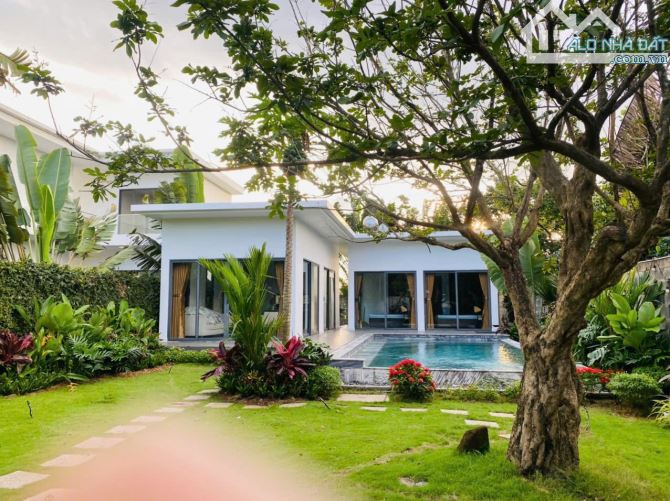 VILLA HỒ BƠI -- SÂN VƯỜN ĐƯỜNG NGUYỄN HUỆ XÃ ĐẤT ĐỎ--TP HCM - 4