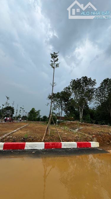 ĐẤT, TT ĐẠI NGHĨA, MỸ ĐỨC, HÀ NỘI 52M, CHỈ 939 TR - 4