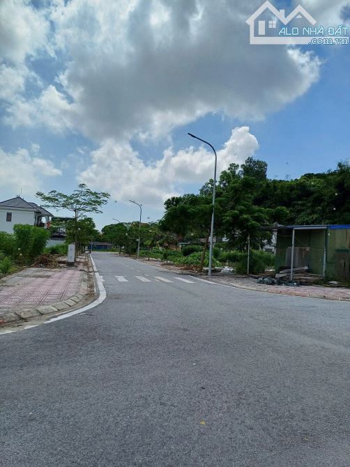 Siêu phẩm lô góc tại đấu giá Suối Rồng cực đẹp giá 2x tr.m2 - 4