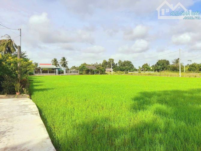 Quá đẹp, 580tr sở hữu 155m2 đất thổ cư sát chợ Tân Trụ - 4