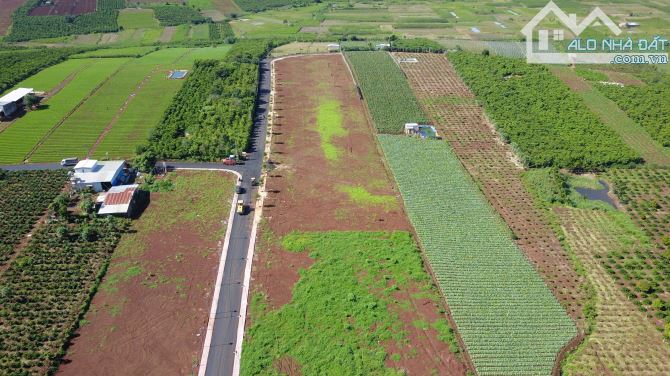 Đất nghỉ dưỡng làng Thanh Bình 810Tr/ nền sổ hồng view săn mây Cách Liên Khương chỉ 10km - 4
